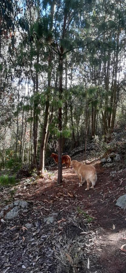 El De El Refugio De La Loma * Tocancipa
