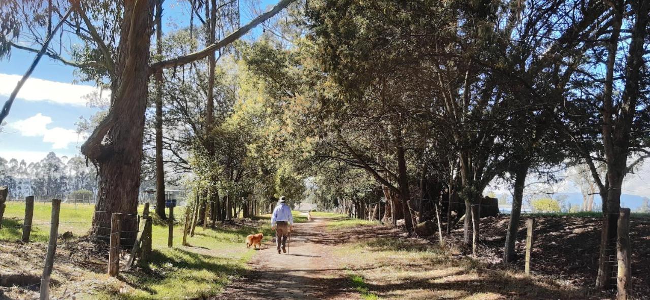 El De El Refugio De La Loma