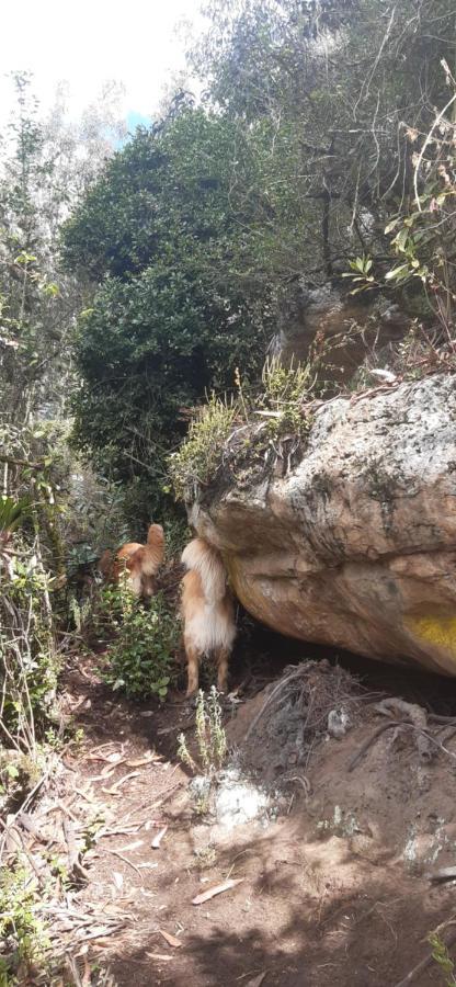 El De El Refugio De La Loma
