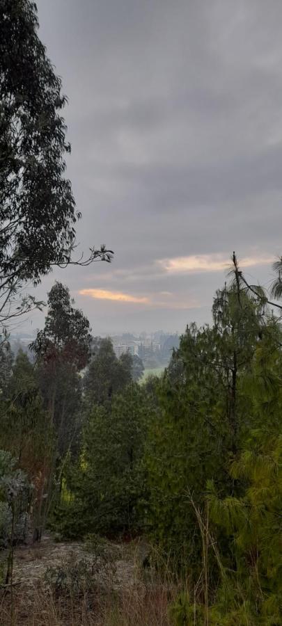 El De El Refugio De La Loma