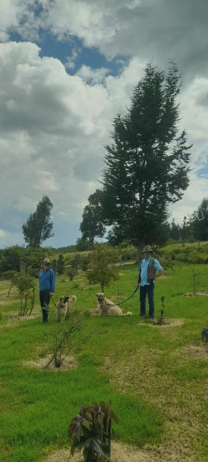 El De El Refugio De La Loma Chalet