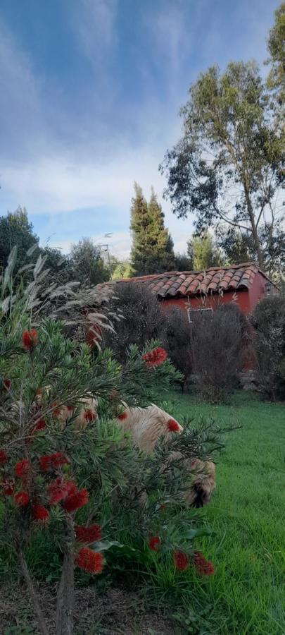 El De El Refugio De La Loma *